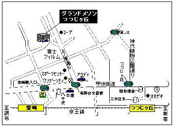 Local guide map