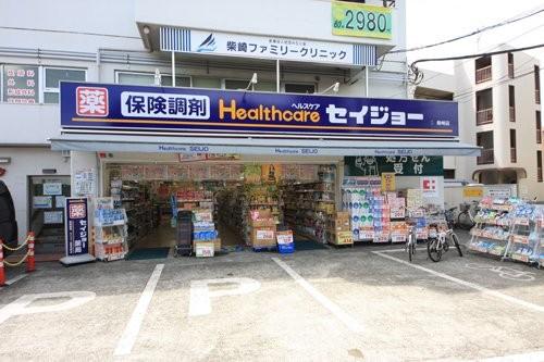 Other Environmental Photo. Seijo to pharmacy 522m