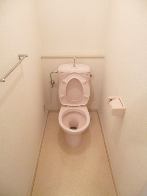 Toilet. Spacious toilet.