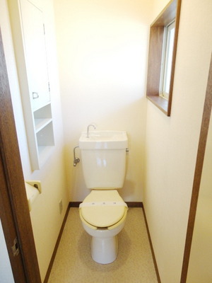 Toilet. With toilet shelf and window