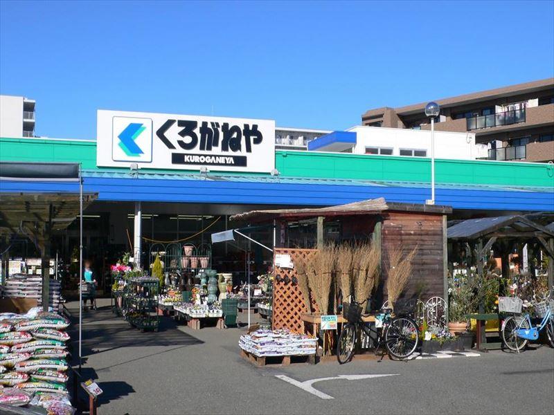 Home center. 571m to home improvement Kuroganeya Co., Ltd. Chofu shop