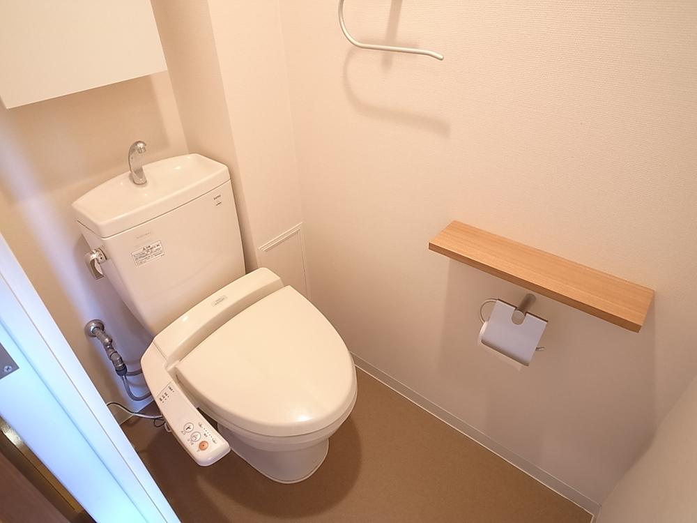 Toilet. Indoor (12 May 2013) Shooting