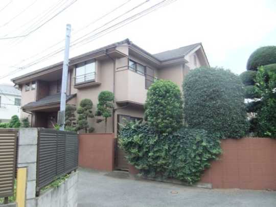 Local land photo. appearance