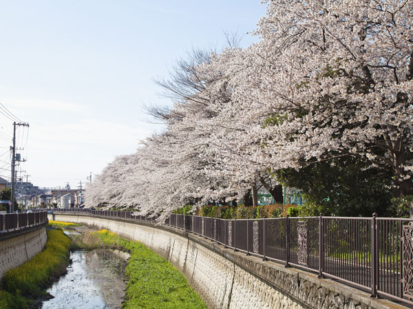 Surrounding environment. Sengawa (about 911m ・ A 12-minute walk)