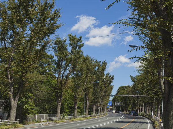Surrounding environment. Local neighborhood streets (about 320m ・ 4-minute walk)