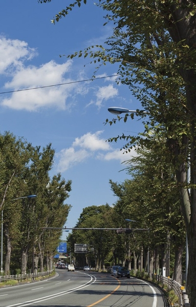 Local neighborhood streets (about 320m ・ 4-minute walk)