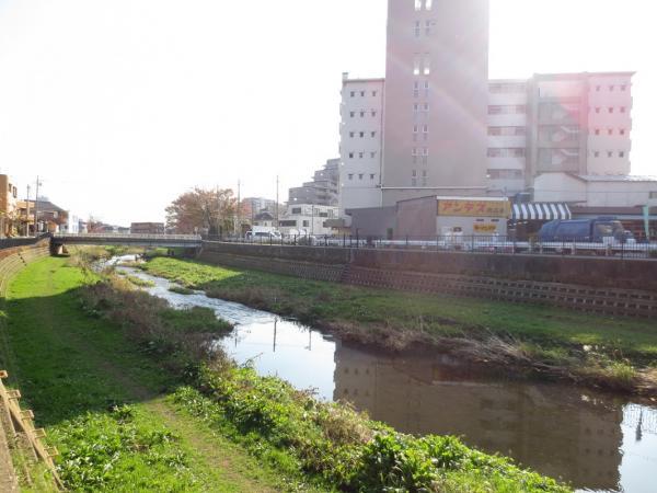 Other local. Local neighborhood