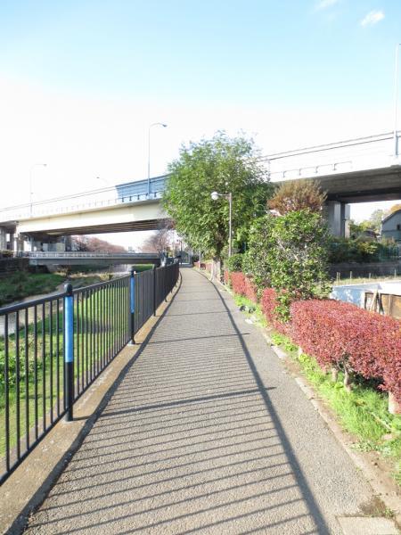 Other local. Local neighborhood