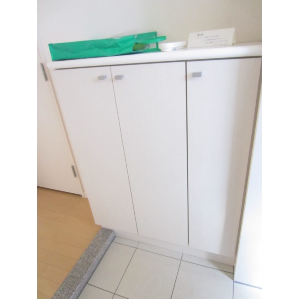 Entrance. Clean around the front door in with a shoe box! !