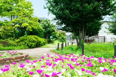 park. 260m until Fujimidai park