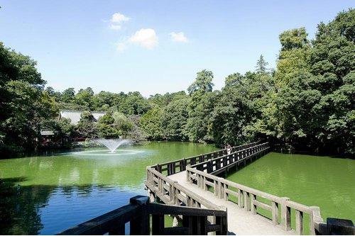 About 14 minutes by bicycle to Inokashira Park, A distance of about 4 minutes by car. Impressive wooded area and Inokashira pond to leave the nature of Musashino is. Nature Culture Park also adjacent Inokashira. Show crowded with a lot of people cherry tree is in full bloom in the spring.