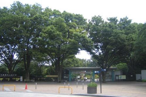 About 10 minutes of the Metropolitan Jindai Botanical Park by bicycle. In the breadth of about 46ha, About 4500 species ・ Plant of about 10 million shares have been cultivated. Would invite around mid-May each year try to go out in the family to rose appreciation of the best time to see.