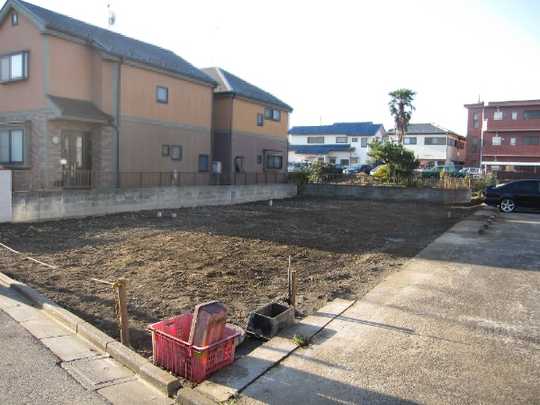 Local land photo. Appearance (1)