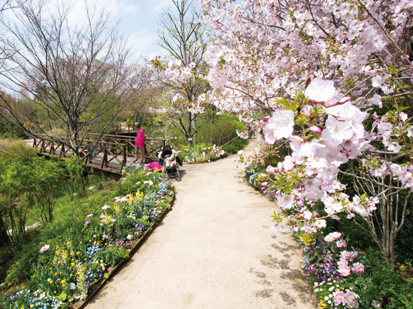 Surrounding environment. Keio Floral Garden Ange (about 380m ・ A 5-minute walk)