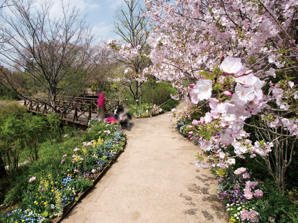Surrounding environment. Keio Floral Garden Ange (about 380m ・ A 5-minute walk) ※ April 2013 shooting