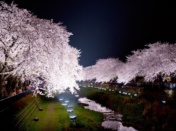 Surrounding environment. Nogawa (about 1420m ・ 18-minute walk)