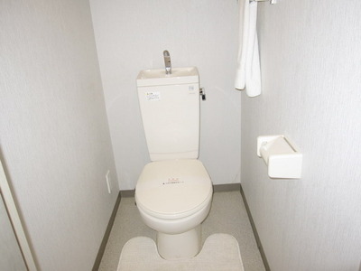 Toilet. Toilet