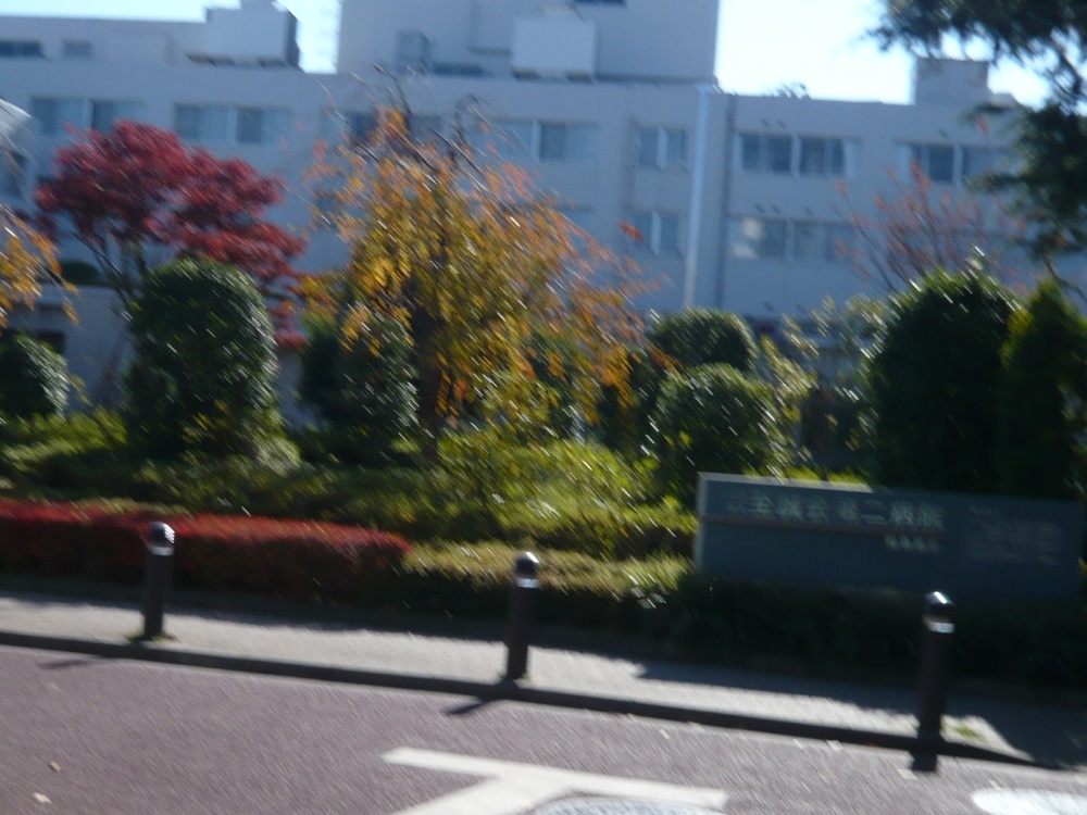 Hospital. 1040m to Japan Ikuseikai second hospital (hospital)