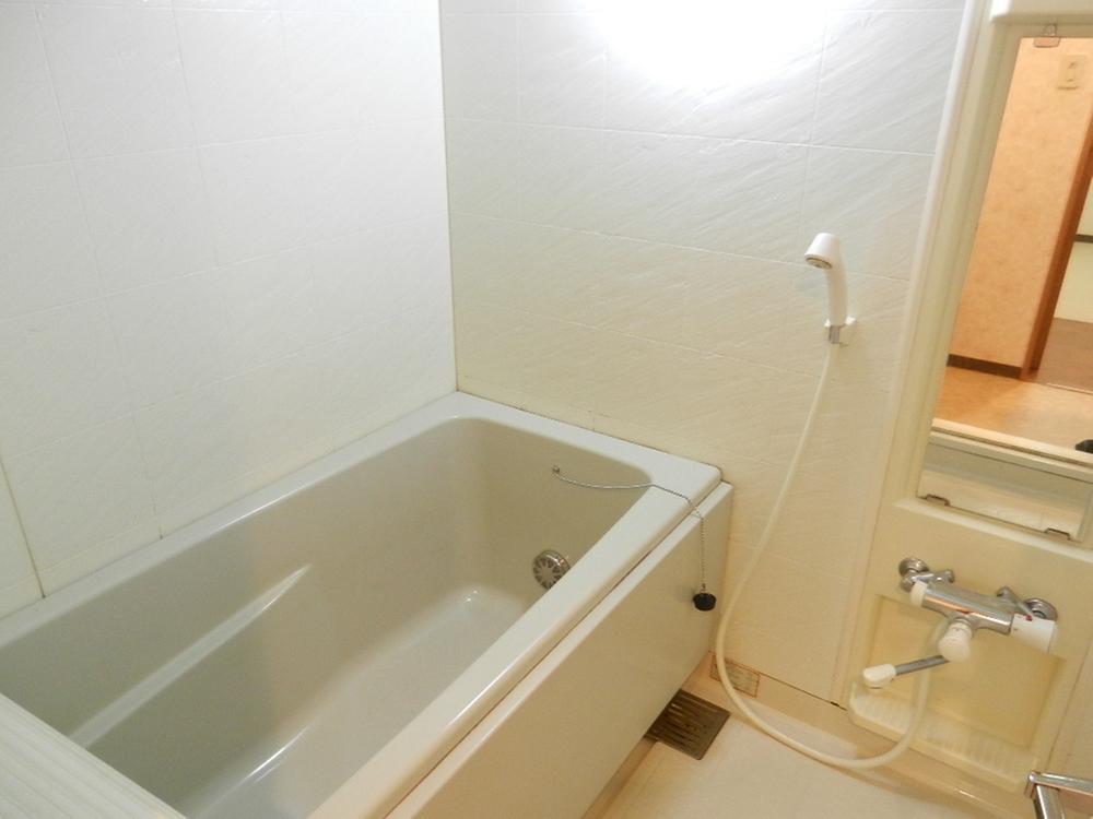 Bathroom. Indoor (11 May 2013) Shooting