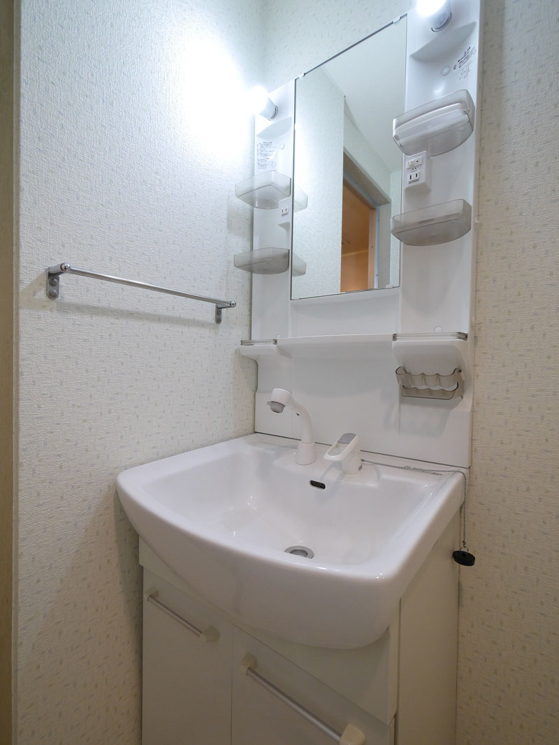 Washroom. ☆ Washbasin with shower