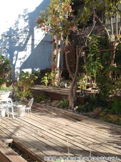 Other introspection. Men Sunrise building dedicated garden