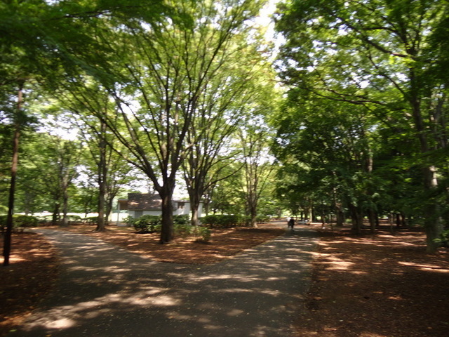 park. 1300m to Jindai Botanical Park (park)