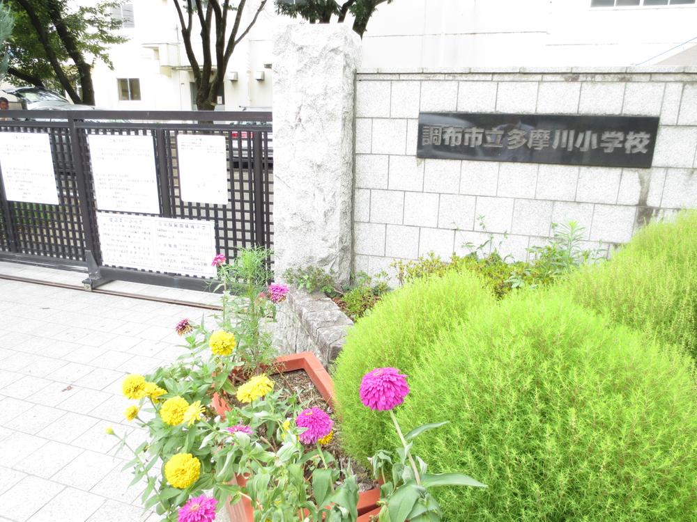 Other. Municipal Tama River Elementary School 8-minute walk (about 570m)