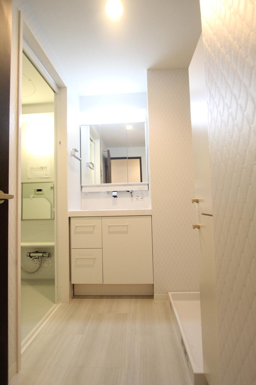Wash basin, toilet. Interior