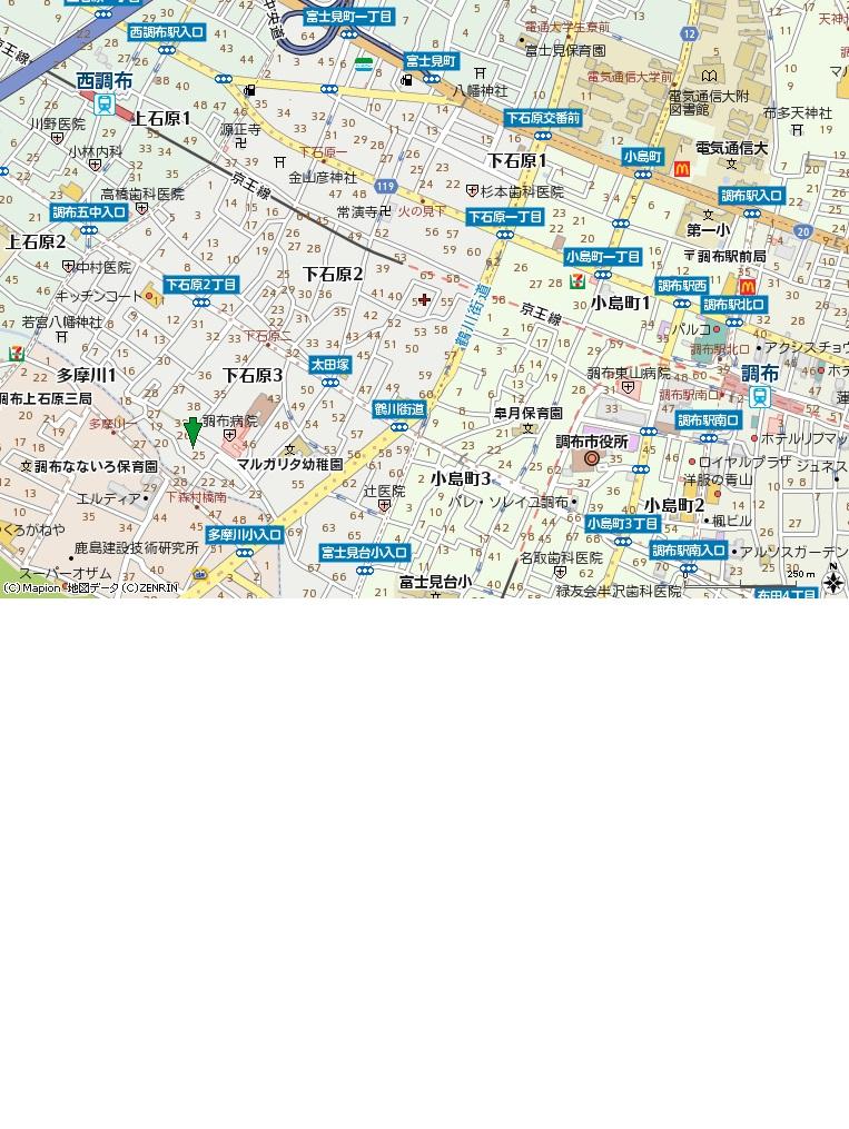 Local guide map