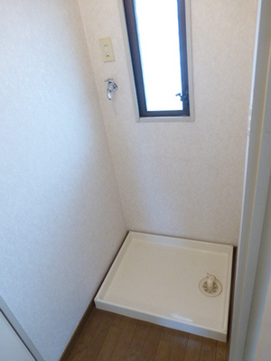 Washroom. Indoor Laundry Storage
