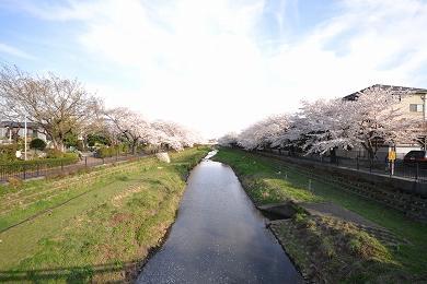 Other Environmental Photo. It is located with views of the four seasons of the facial expression of Nogawa.