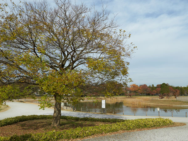 Surrounding environment. Musashino Forest Park (about 1080m / A 14-minute walk)