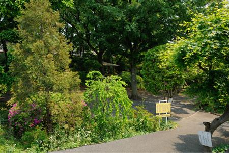 park. Azalea months hill park