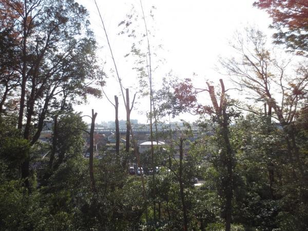 View photos from the local. Local view