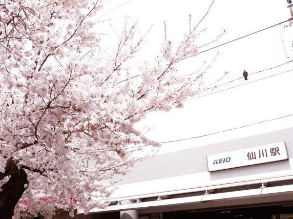 Surrounding environment. Sengawa Station (about 210m / A 3-minute walk)