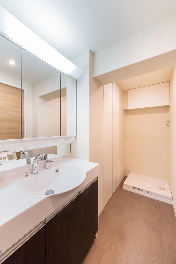 Wash basin, toilet. Noritsu made vanity