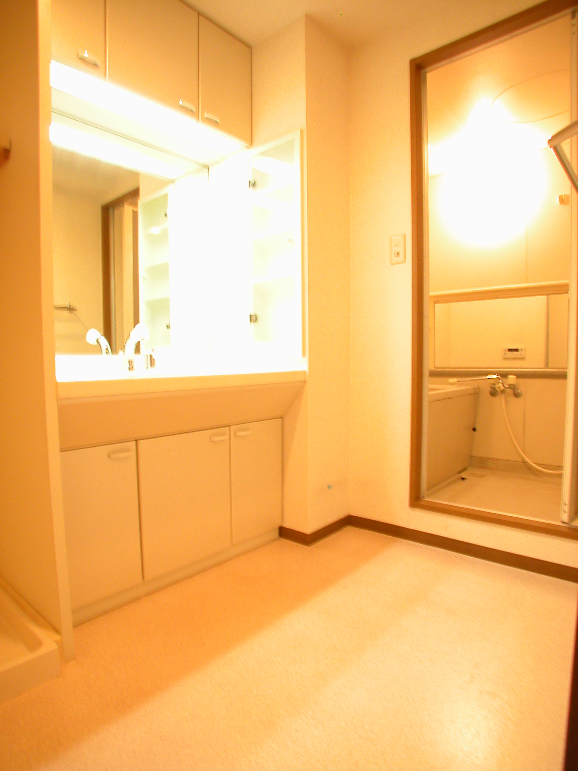 Washroom. You can use To spacious, such as shampoo dresser.