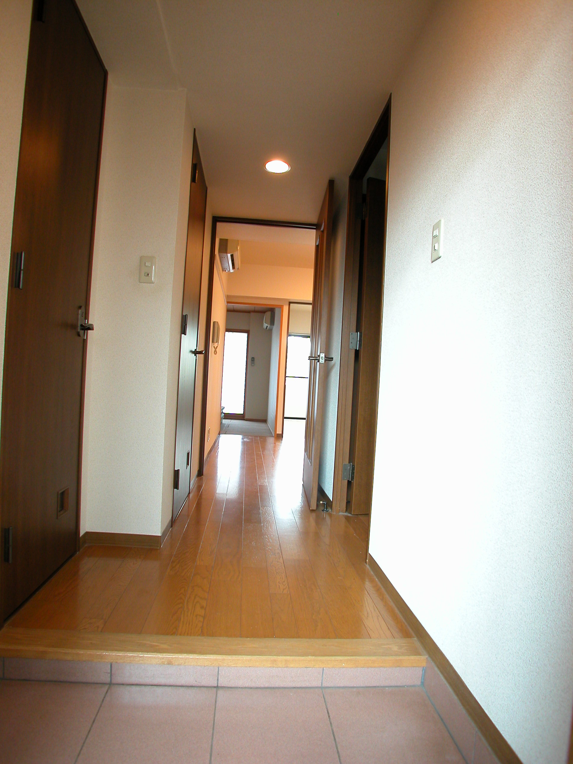 Entrance. Corridor is attractive in that room.