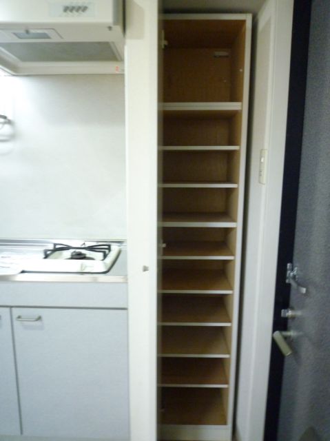 Entrance. Shoe box also contains a lot.