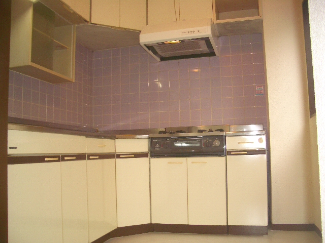 Kitchen. Spacious kitchen! With grill! 