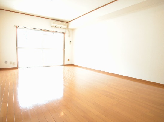 Living and room. Flooring is also new, Day is also excellent!