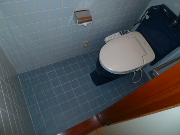 Toilet. Washlet comes!