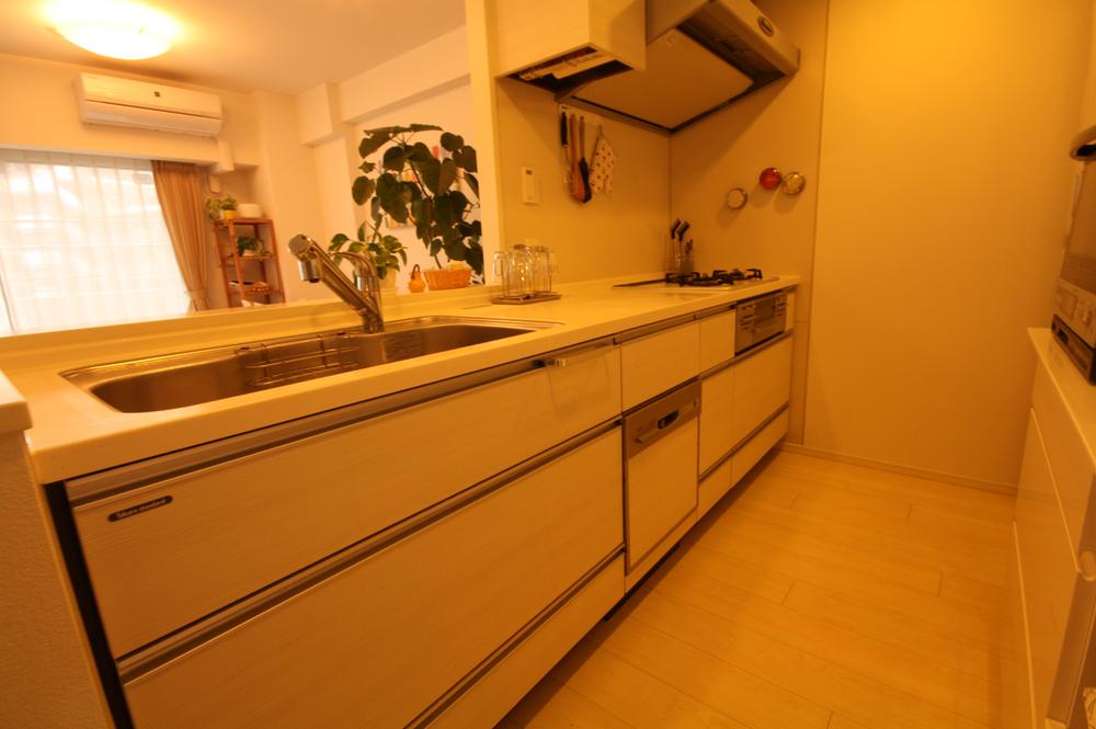 Kitchen. Indoor (12 May 2013) Shooting