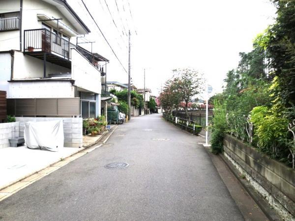 Local photos, including front road. Local front road