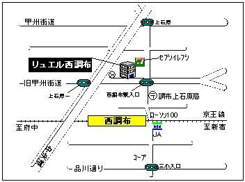 Local guide map