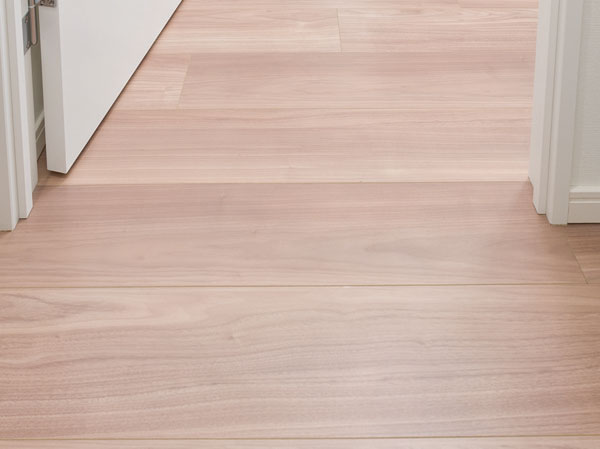 Other.  [Full-flat design] Such as falling stumbled, As much as possible to eliminate the floor level difference in the dwelling unit in order to avoid unexpected accidents in the dwelling unit, It has achieved a full flat floor. (Entrance, balcony, Except for the doorway of the bathroom)