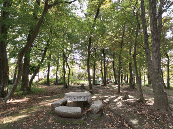 Surrounding environment. Midorigaoka Forests for Everyone (about 110m ・ A 2-minute walk)