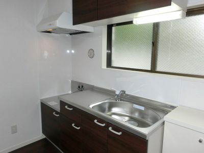 Kitchen. Gas stove is a 2-neck installation Friendly Kitchen