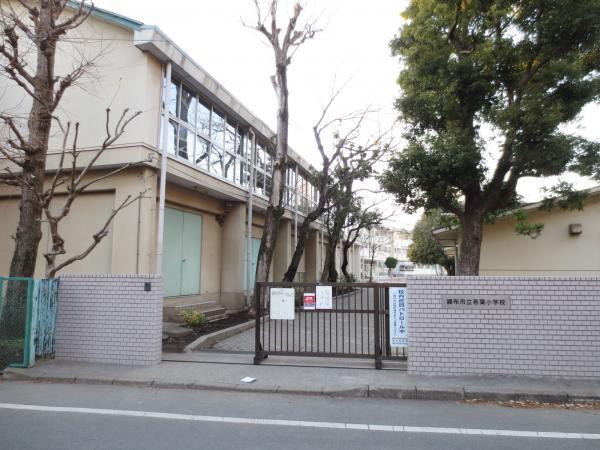 Primary school. Chofu 700m walk 9 minutes to stand young leaves elementary school