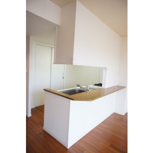 Kitchen. Counter Kitchen